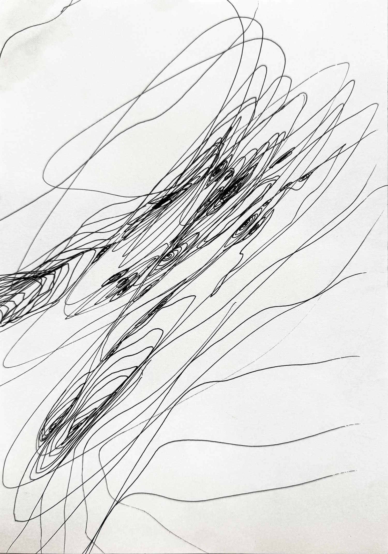 _____ Click to see entire image _____   Jeremy McDonnell 
 Looping Landscape  
Pen on Paper 
11 x 8.5 inches