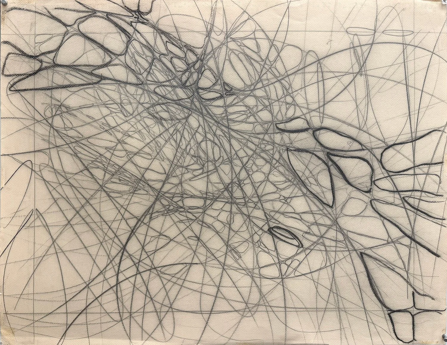  _____ Click to see entire horizontal  image _____  
 
Jeremy McDonnell  
 Sly75 - Curvature , 2023 
Charcoal and Graphite on Beige Paper 
19 1/2 x 25 1/2 inches 