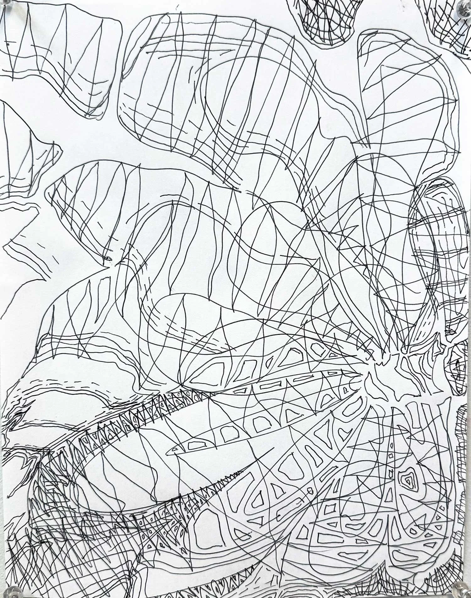 _____ Click to see entire image _____   Jeremy McDonnell 
 Vibrating_Flower  
Pen on Paper 
11 x 8.5 inches