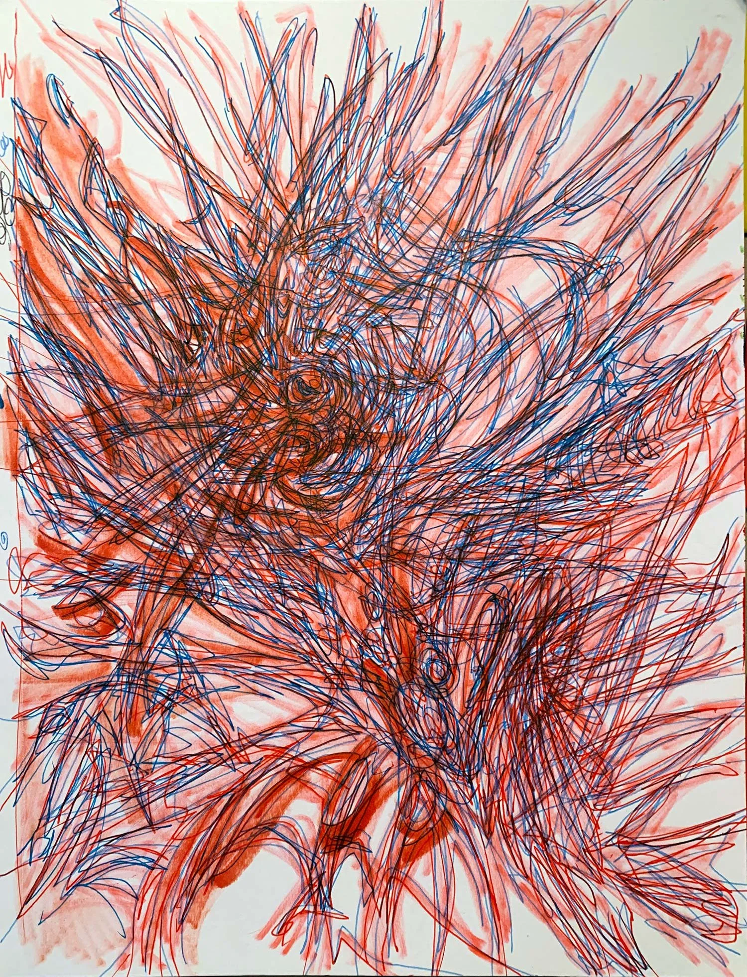  _____ Click to see entire image _____   Jeremy McDonnell 
 Vibrating- Blue Lines Red Shadows , 2024 
Colored Pens on Paper 
11 x 9 inches