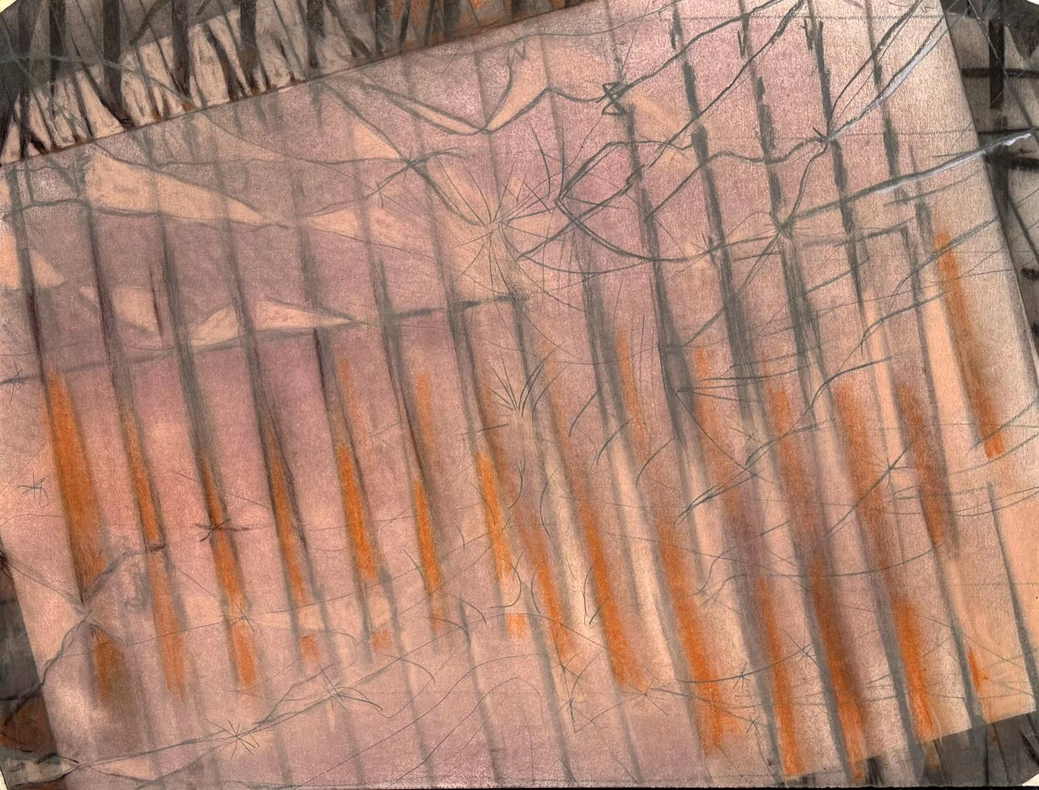  _____ Click to see entire horizontal image _____   Jeremy McDonnell 
 Color - Linear Pastel , 2019 
Charcoal and Pastels on Paper 
17 1/2 x 23 inches