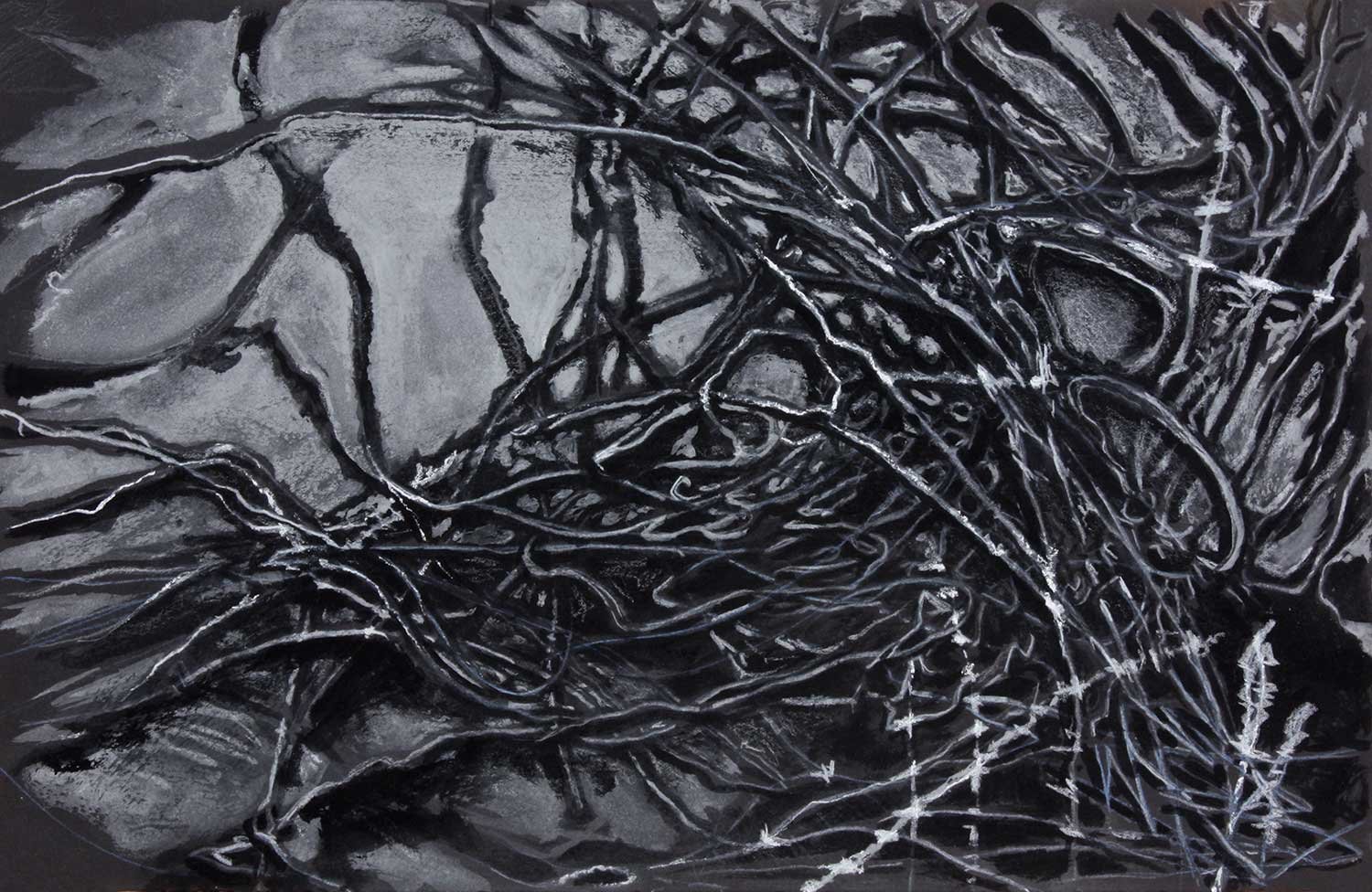  _____ Click to see entire horizontal image _____  
 Jeremy McDonnell  
 NM Queen , 2003 
Pen on Paper 
7 1/4 x 9 3/4 inches 