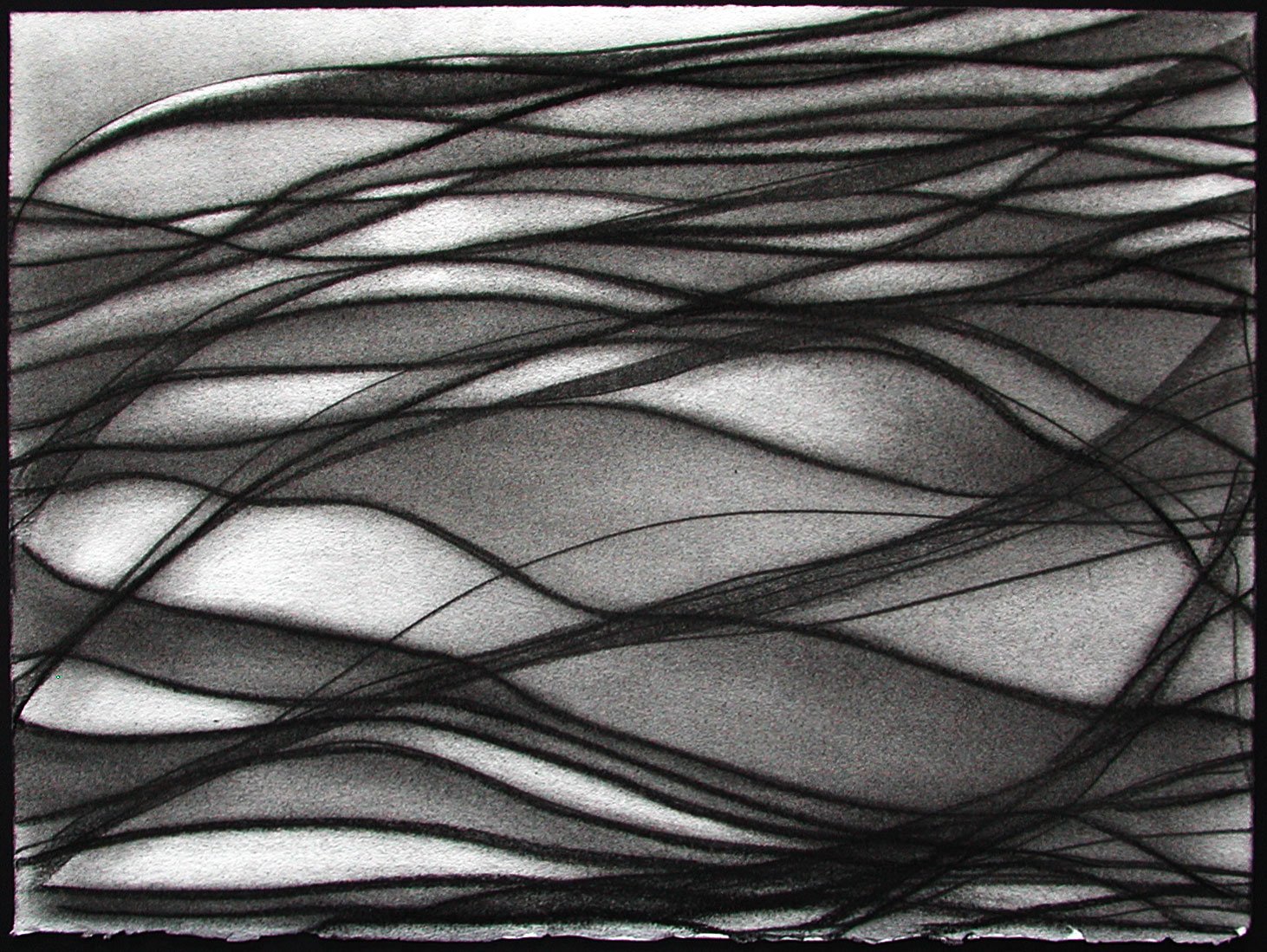  _____ Click to see entire horizontal image _____  
 
Jeremy McDonnell  
 SnakeScape , 2003 
Charcoal on Paper 
8 1/2 x 11 inches 
Collection of the Harwood Museum of Art, Tao, NM
