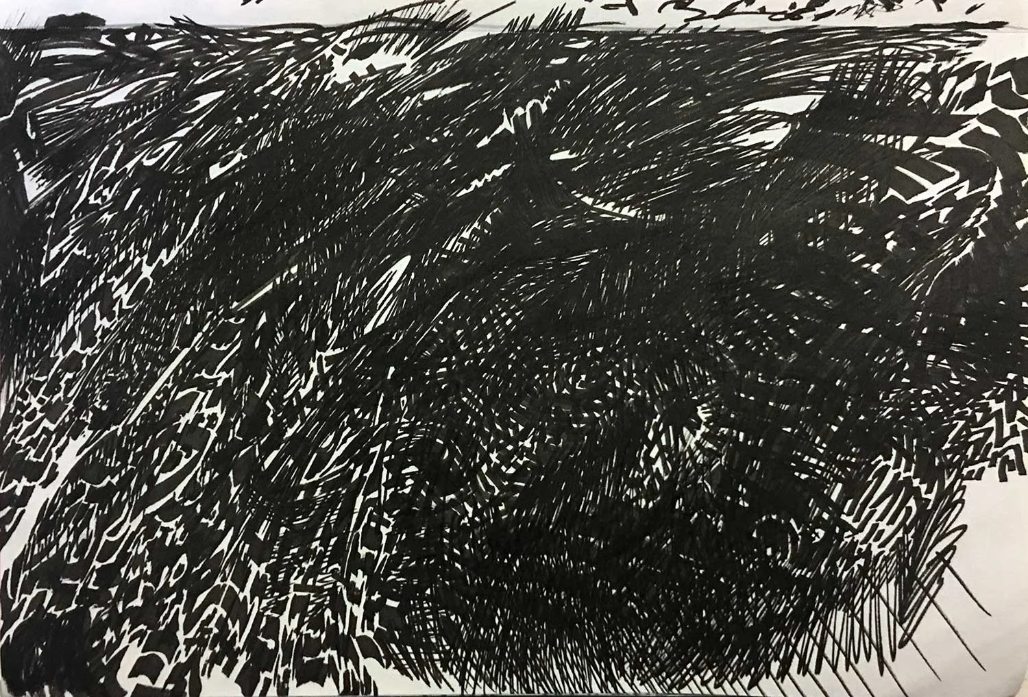  _____ Click to see entire horizontal image _____  
 
Jeremy McDonnell  
 Landscape- Black Full Heavy , 2022 
Pen on Paper 
5 1/2 x 8 inches