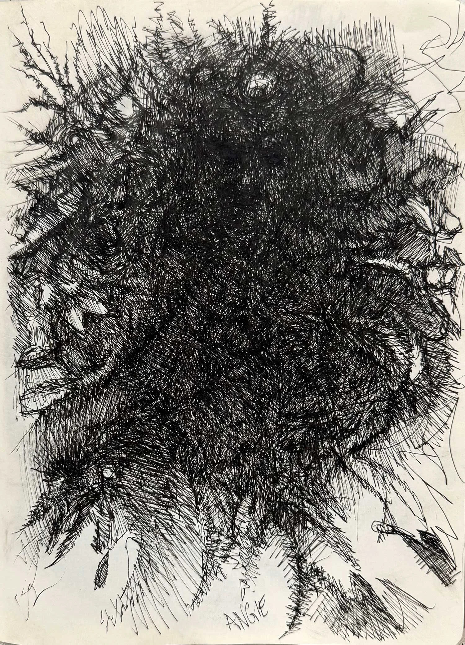  _____ Click to see entire image _____   Jeremy McDonnell 
 Warrior Portraits Chicken , 2024 
Pen on Paper 
7 1/4 x 9 3/4 inches