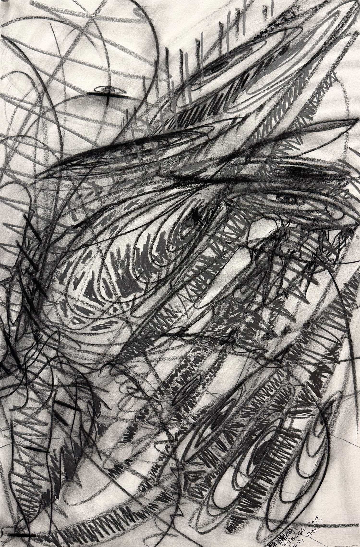  _____ Click to see entire image _____   Jeremy McDonnell 
 EM Mind (Andy Teets)  
Charcoal and Graphite on Paper 
22 1/4 x 15 inches