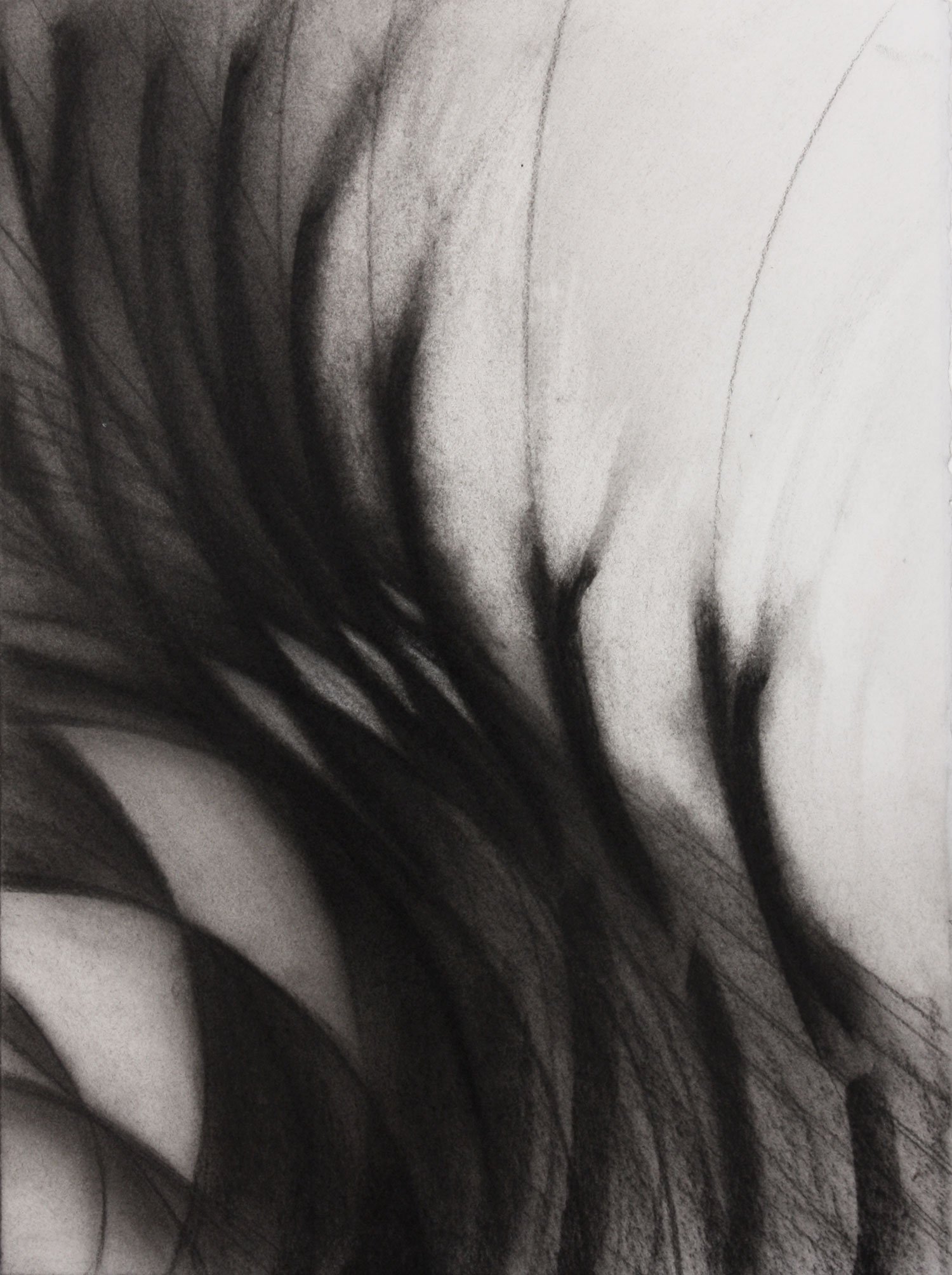  _____ Click to see entire image _____   Jeremy McDonnell 
 Left Tile Horizon (Dark) , 2003 
Charcoal on Paper 
15 x 11 inches