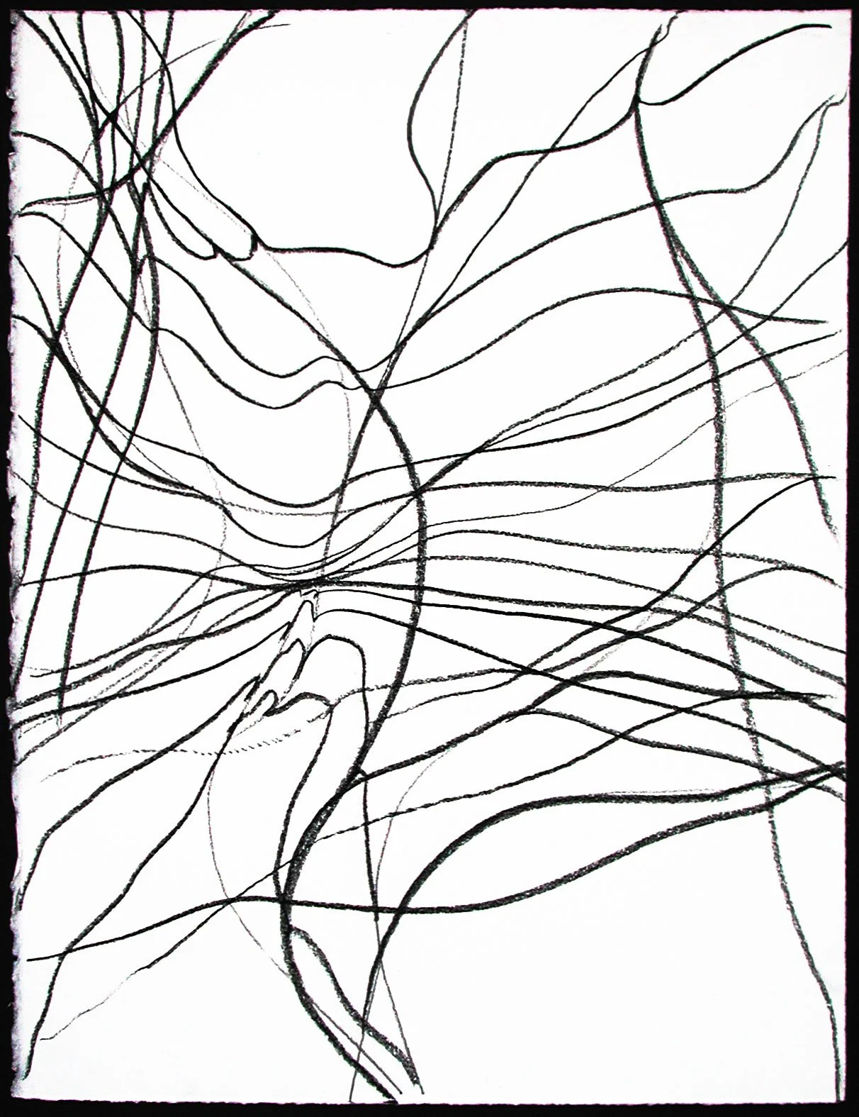  _____ Click to see entire image _____    Jeremy McDonnell
 Organic - Lines Only (Bellmer) , 2003 
Charcoal on Paper 
15 x 11 inches