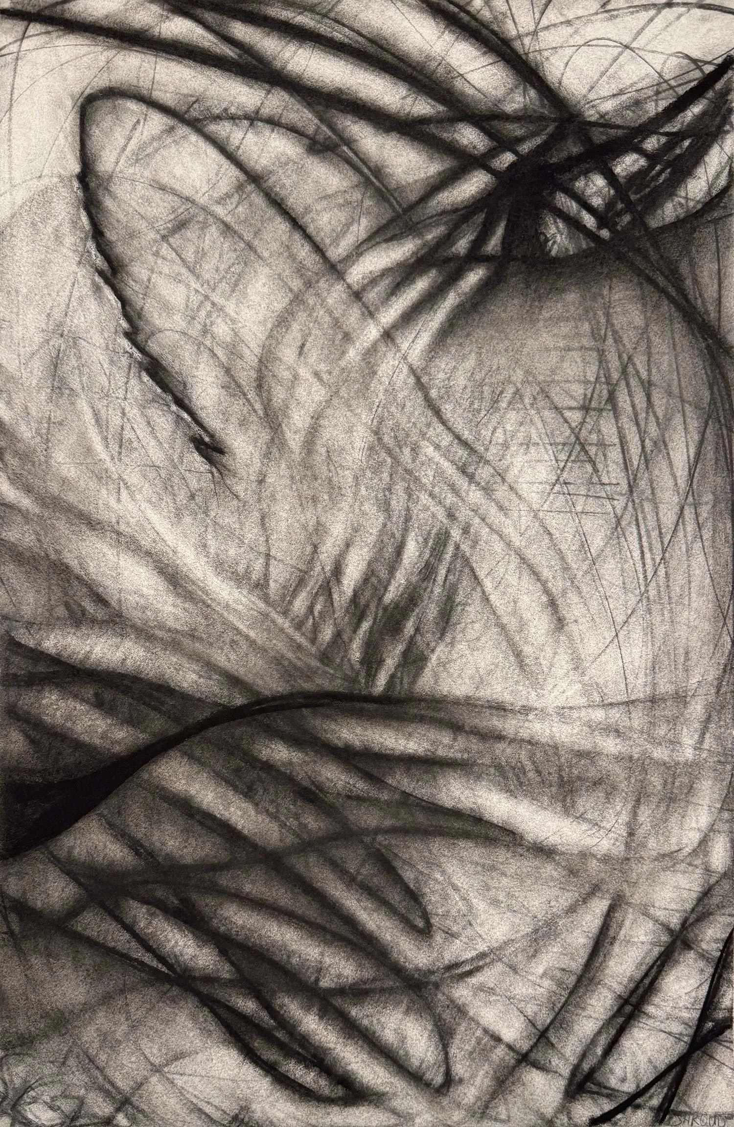  _____ Click to see entire image _____   Jeremy McDonnell 
 Portrait Eye 3333  
Charcoal and Graphite on Paper 
30 x 23 3/4 inches