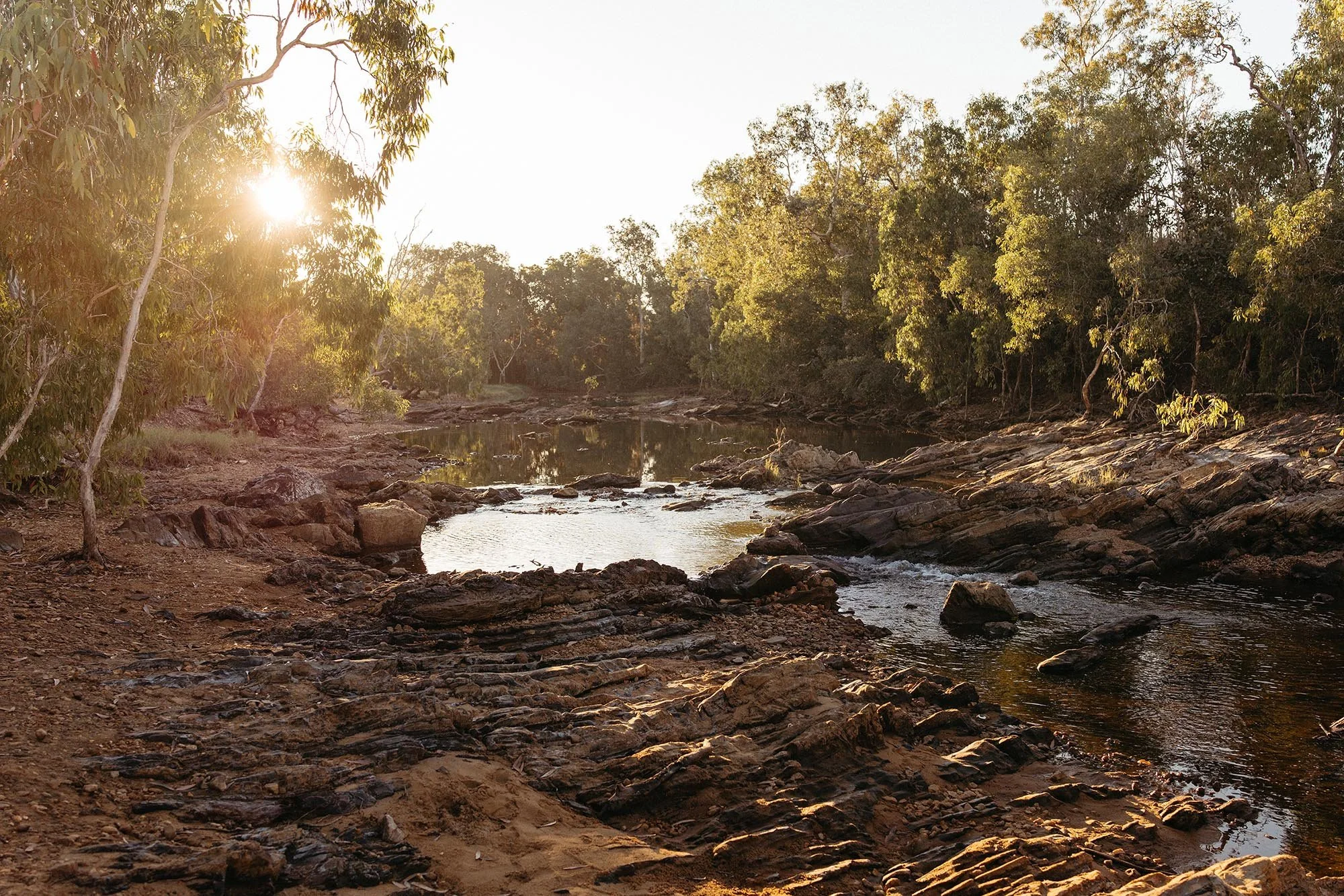 An image of a creek running through the bush in the Northern Territory at sunset.