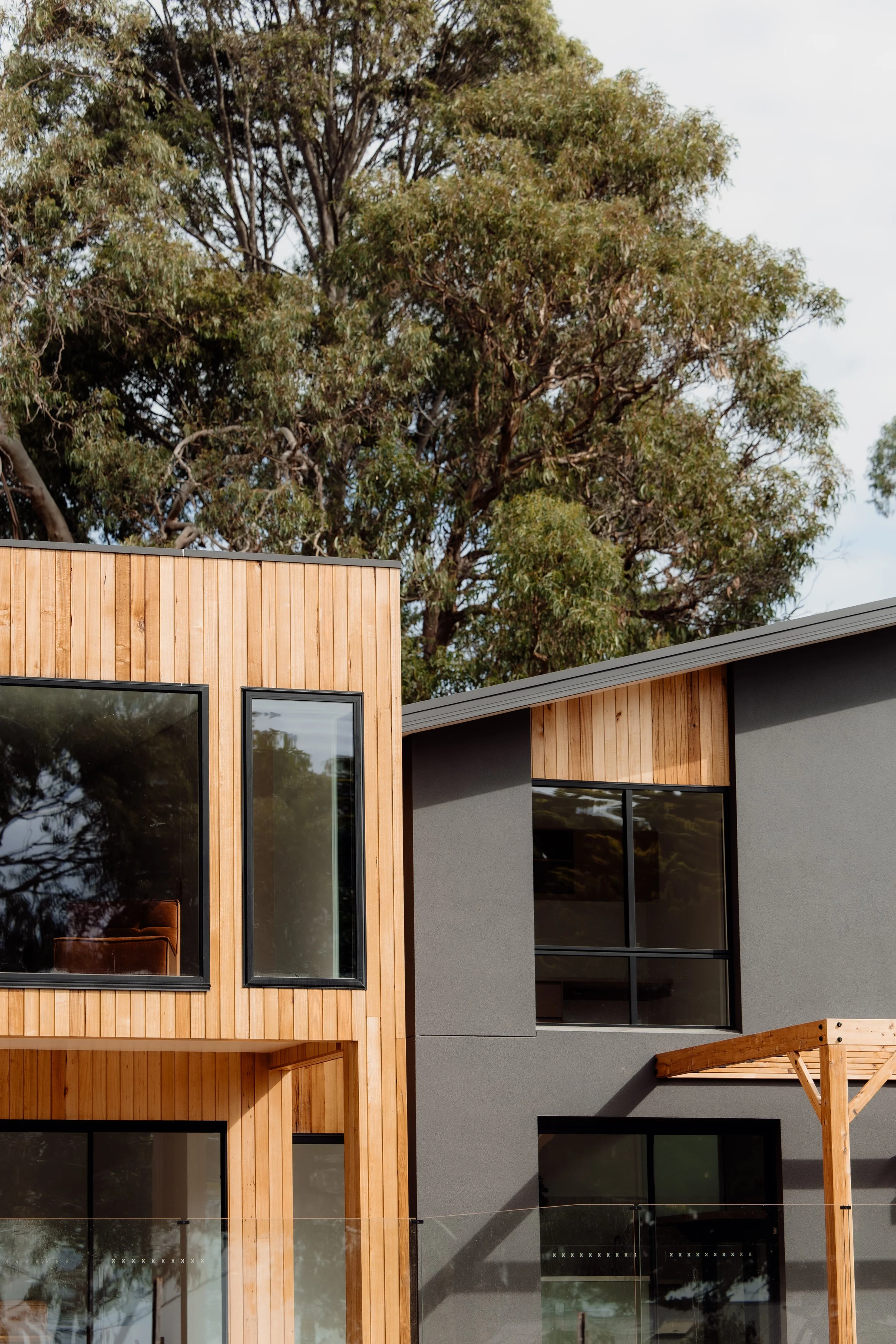 Modern house with wood and gray exterior, large windows, and a background tall tree with green foliage.