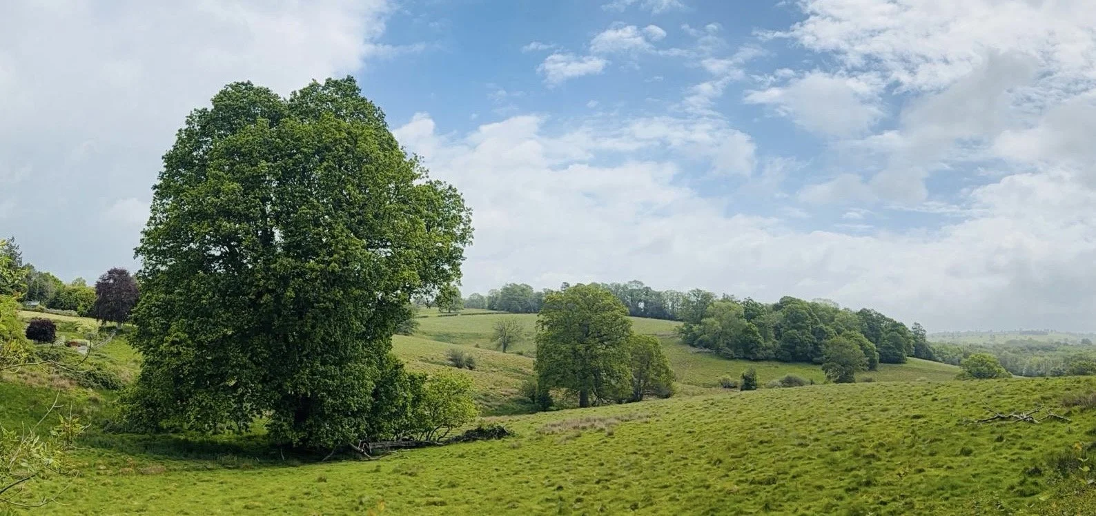 A green landscape with rolling hills, trees, and a partly cloudy sky.