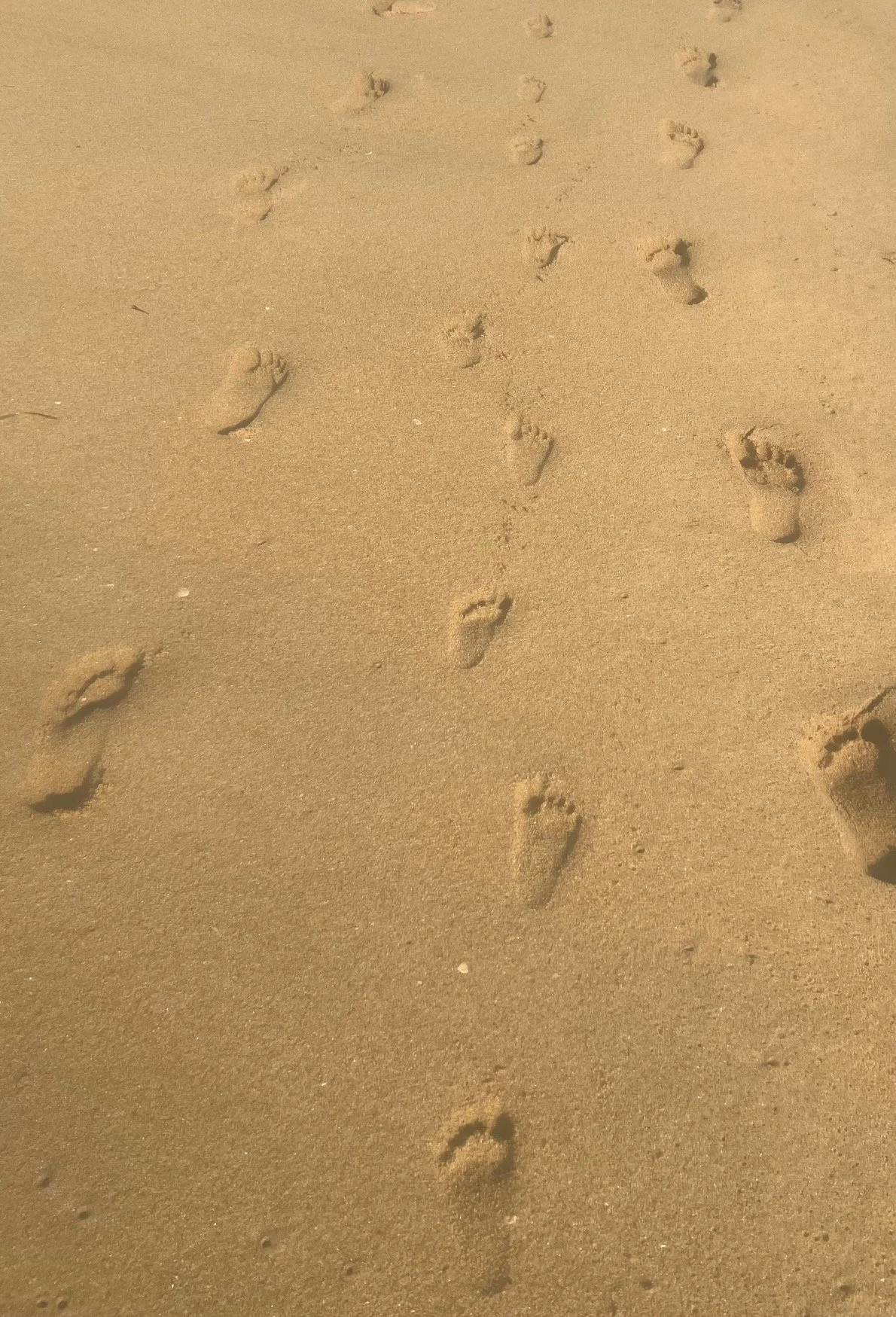 Footprints in the sand on a beach.