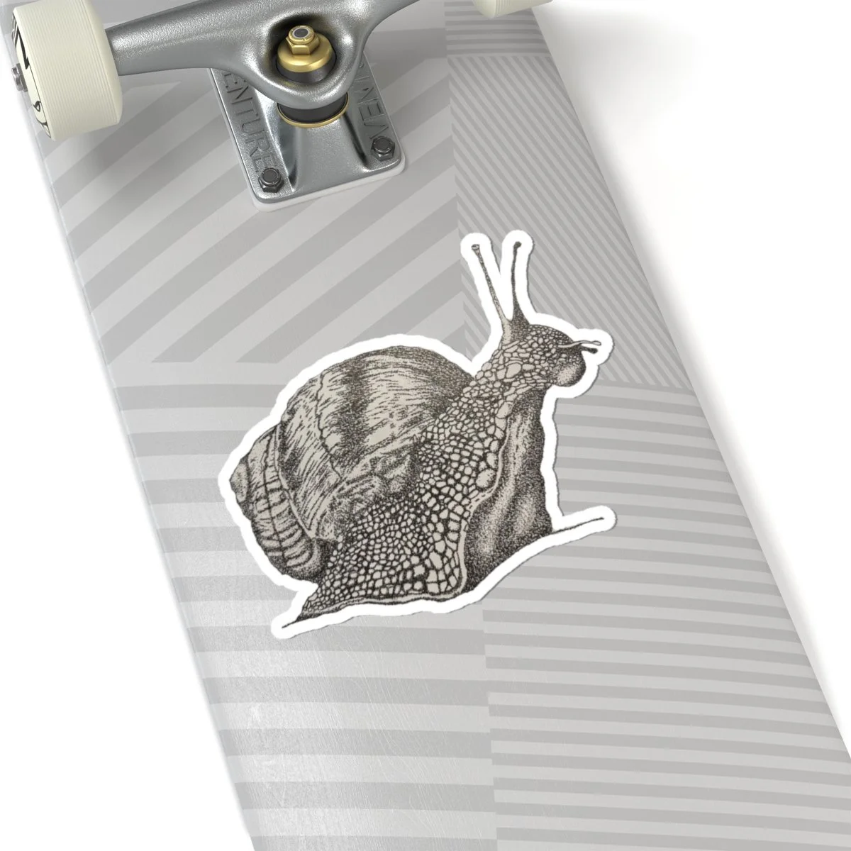 Stipple Art Snail Original Vinyl Sticker