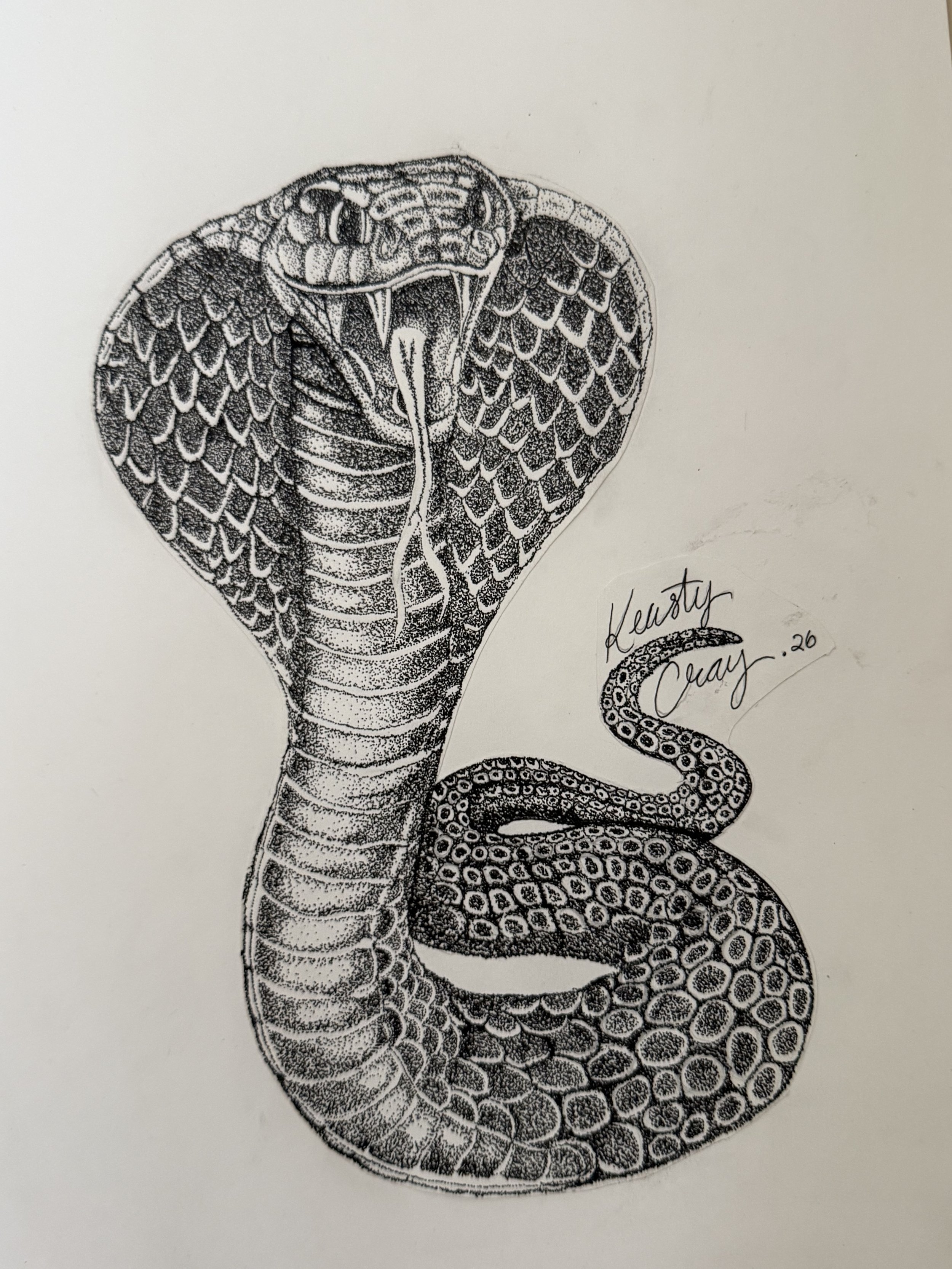 Saying goodbye to the year of the snake, Welcome to 2026.