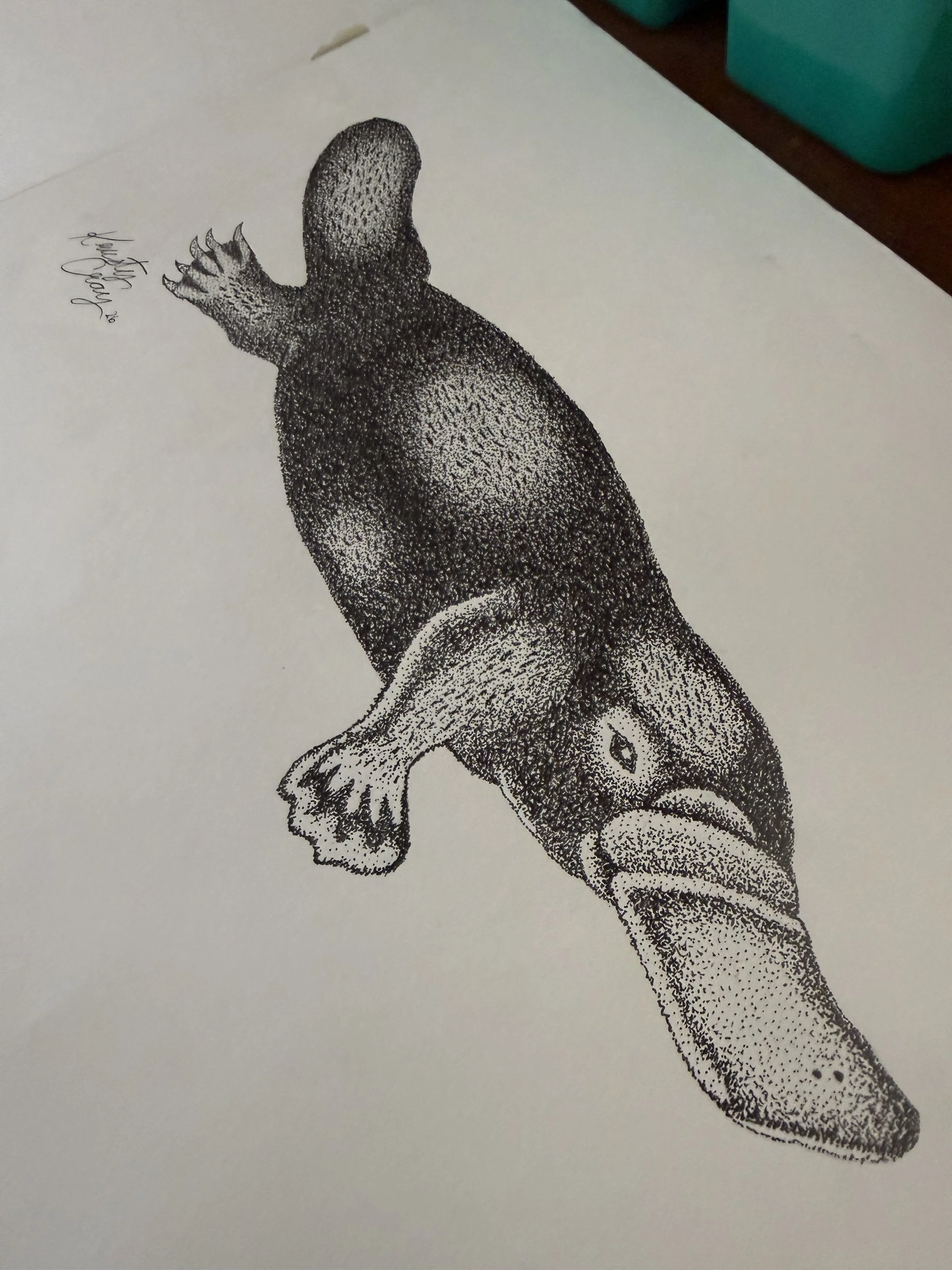 A long-overdue tribute to Australian wildlife.