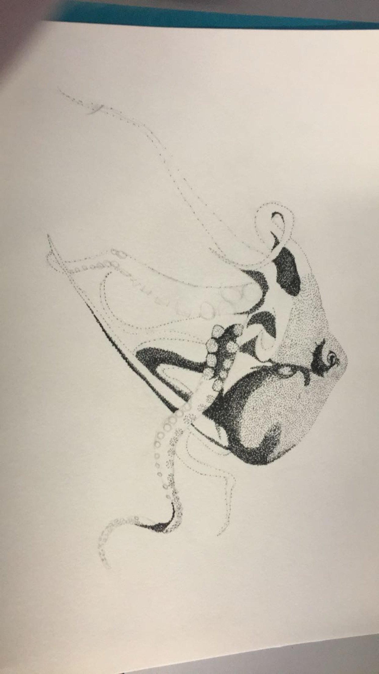 IMG_5212.jpeg