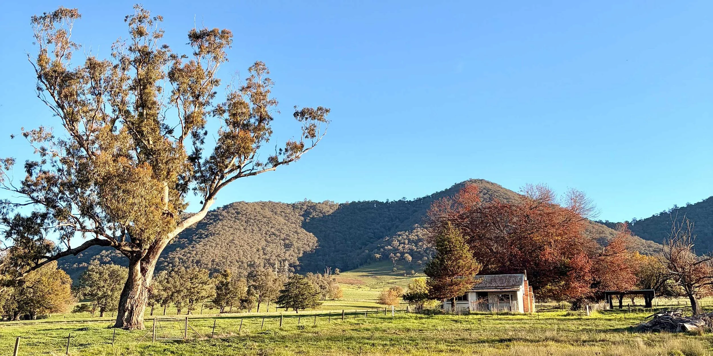 Scenic view of rolling hills and mountains under a clear blue sky, with trees in autumn colors and a small building in the foreground.