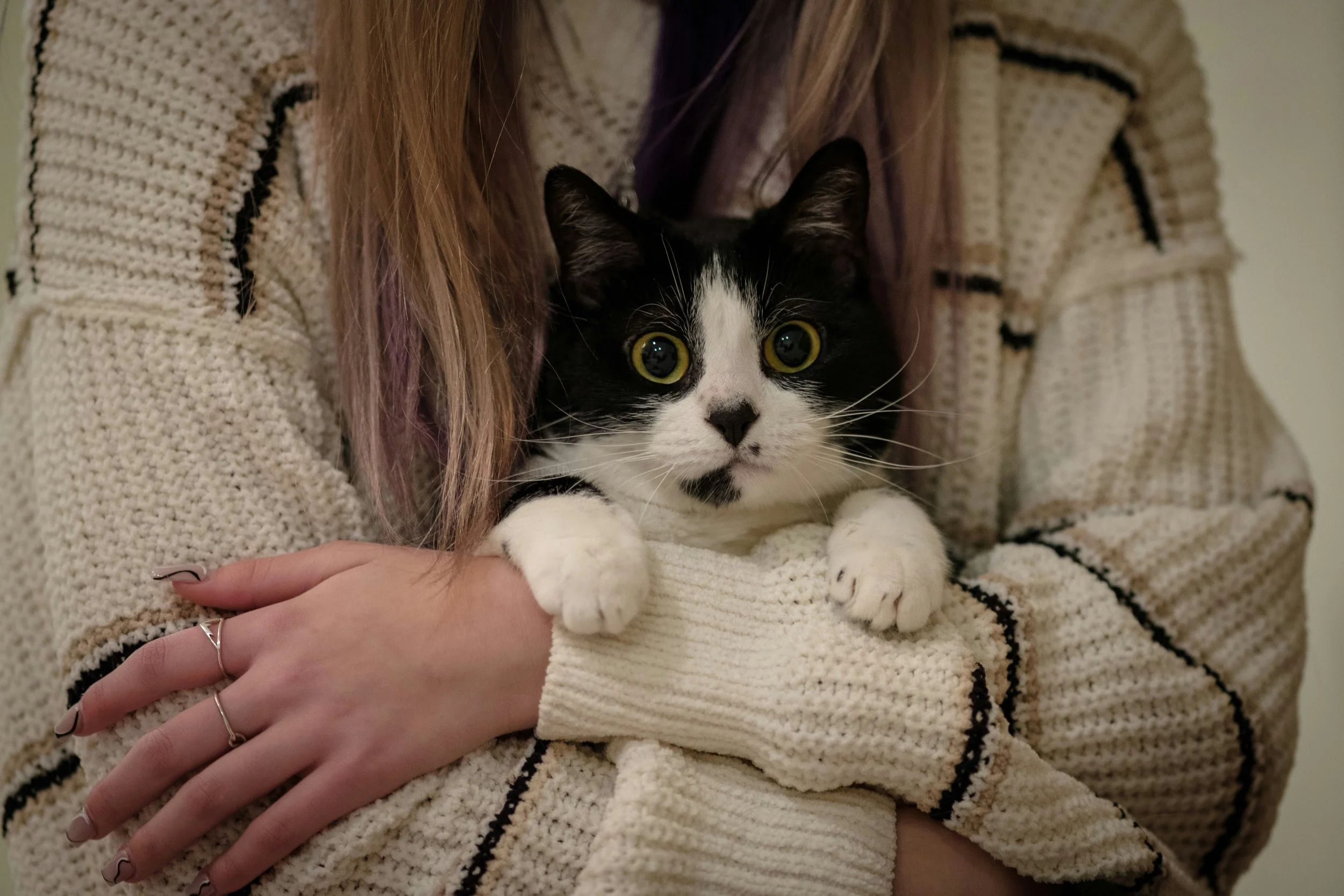 Eine Person mit langen Haaren, trägt ein beige gestricktes Pullover und hält eine schwarze und weiße Katze mit großen gelben Augen auf dem Schoß.