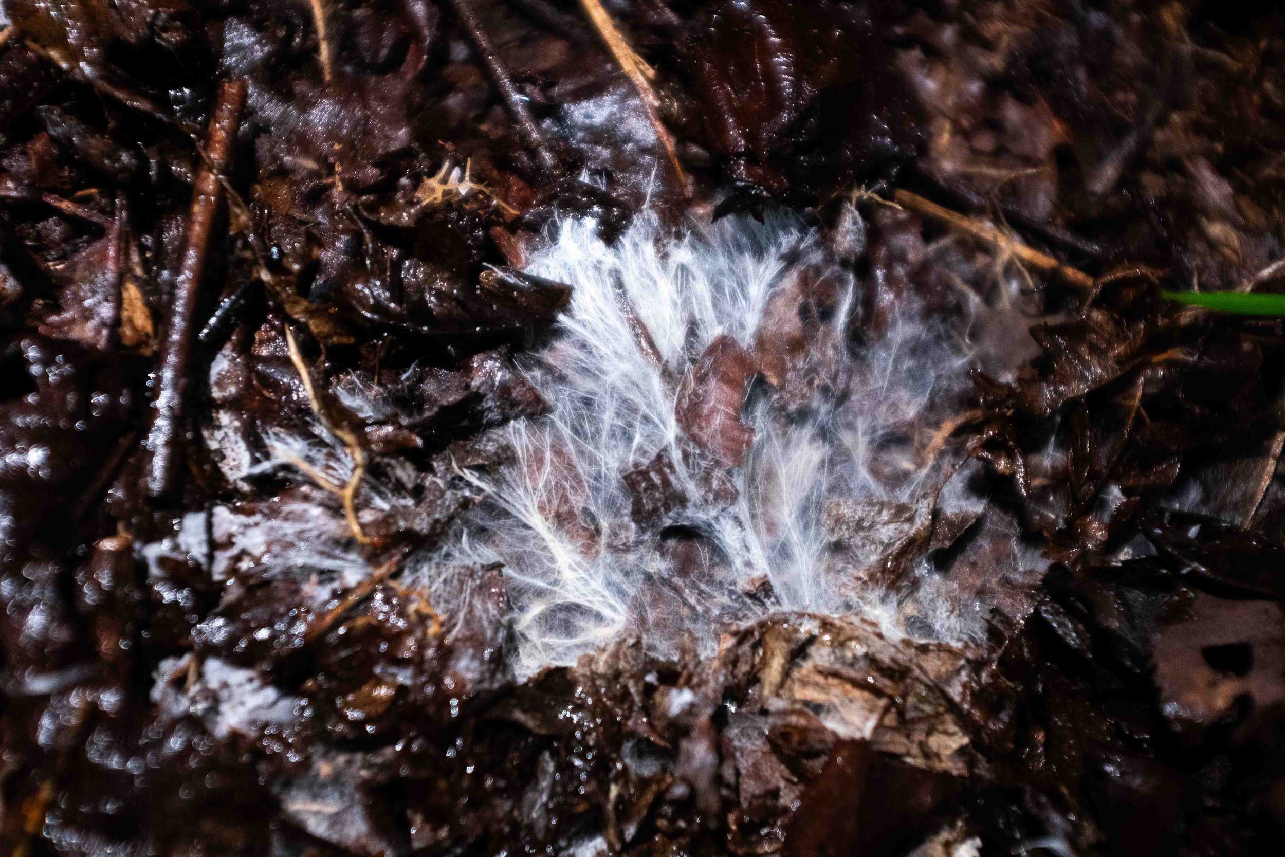 DSCF3104.jpg