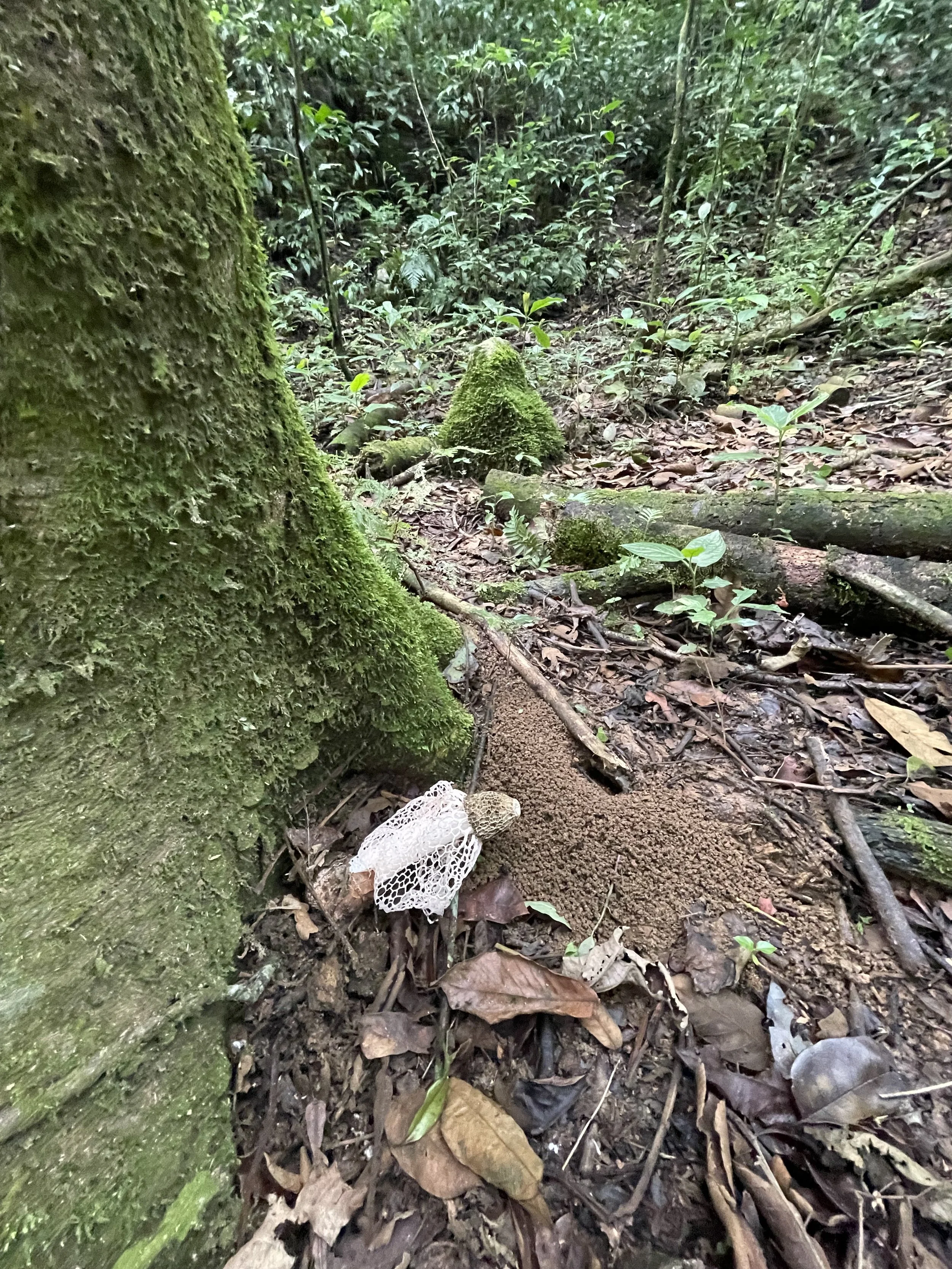 IMG_0185.jpeg