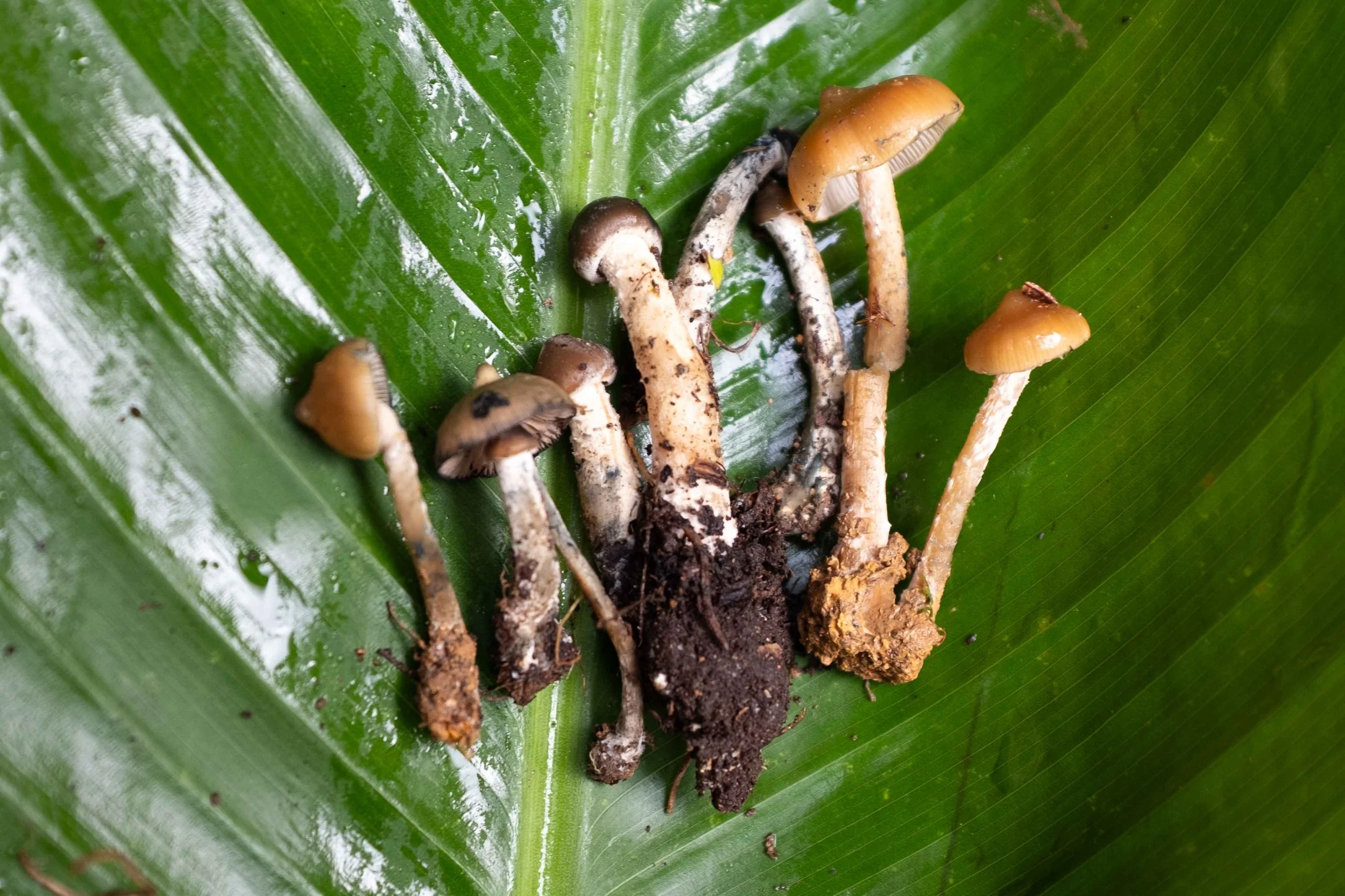 DSCF3063.jpg