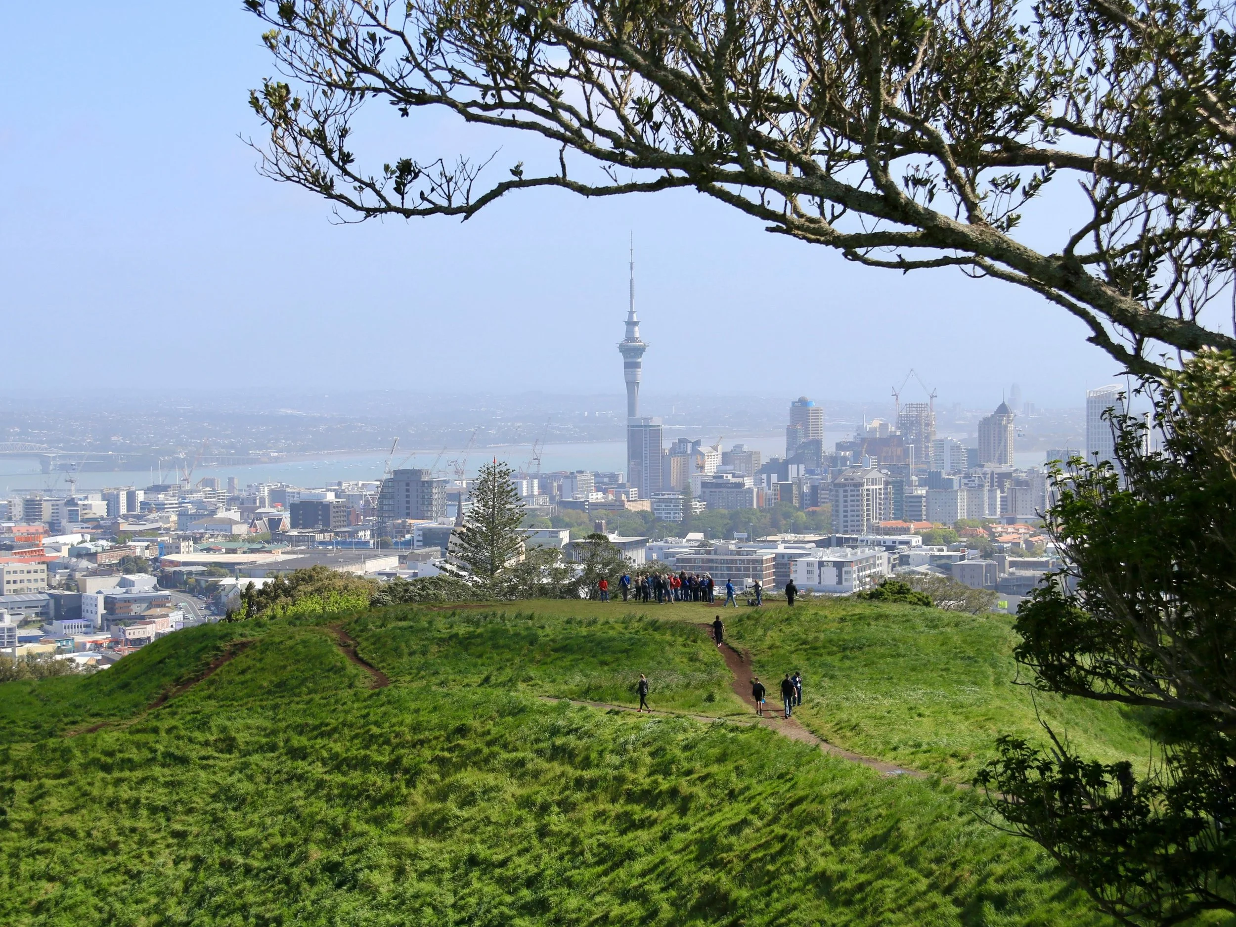 A group of people walking along a grassy hilltop with a cityscape and a tall tower in the background, framed by tree branches.