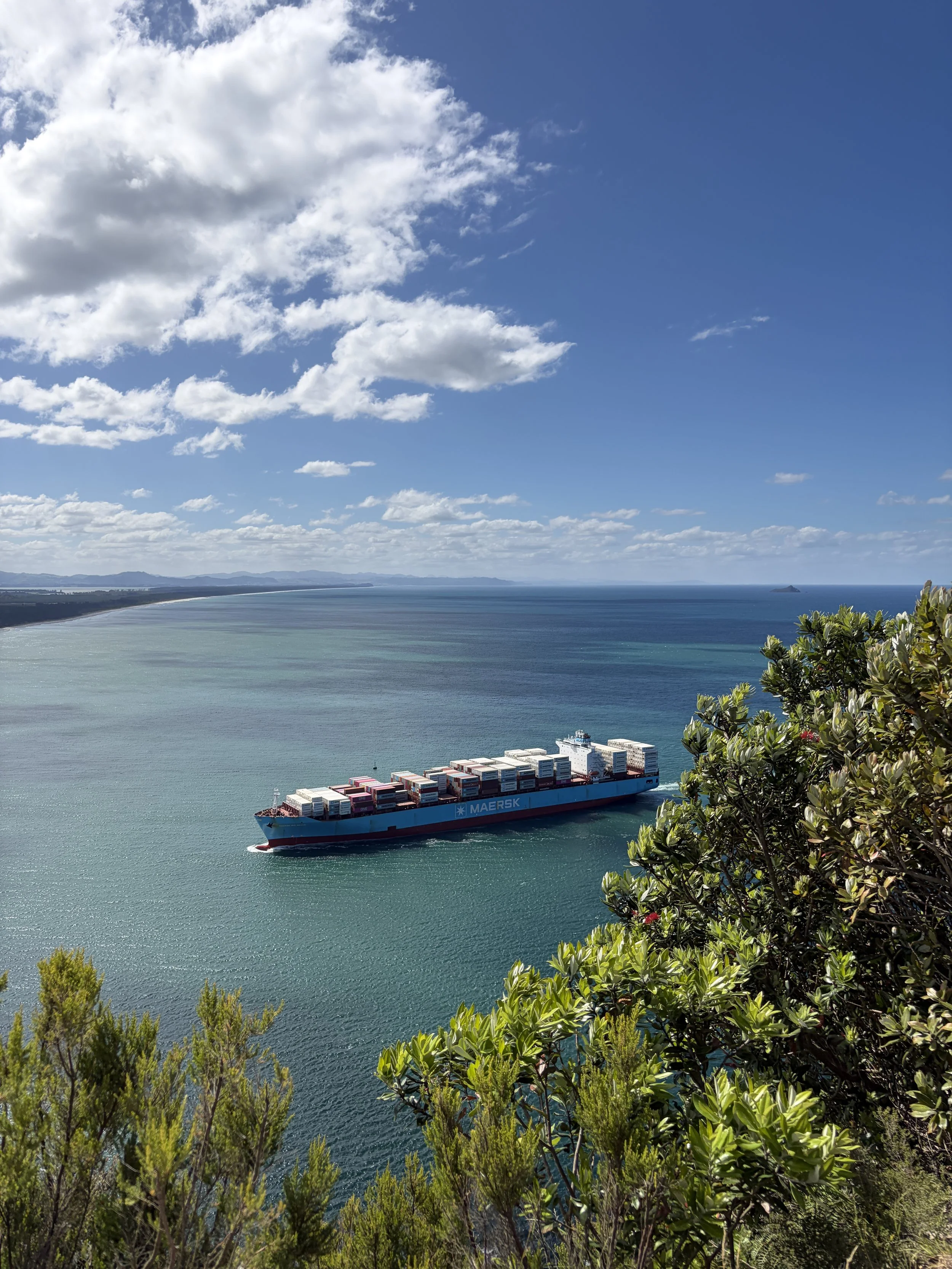 A large container ship with the word 'Maersk' on its side sailing on the ocean near a coastline, with green trees in the foreground and a partly cloudy sky above.