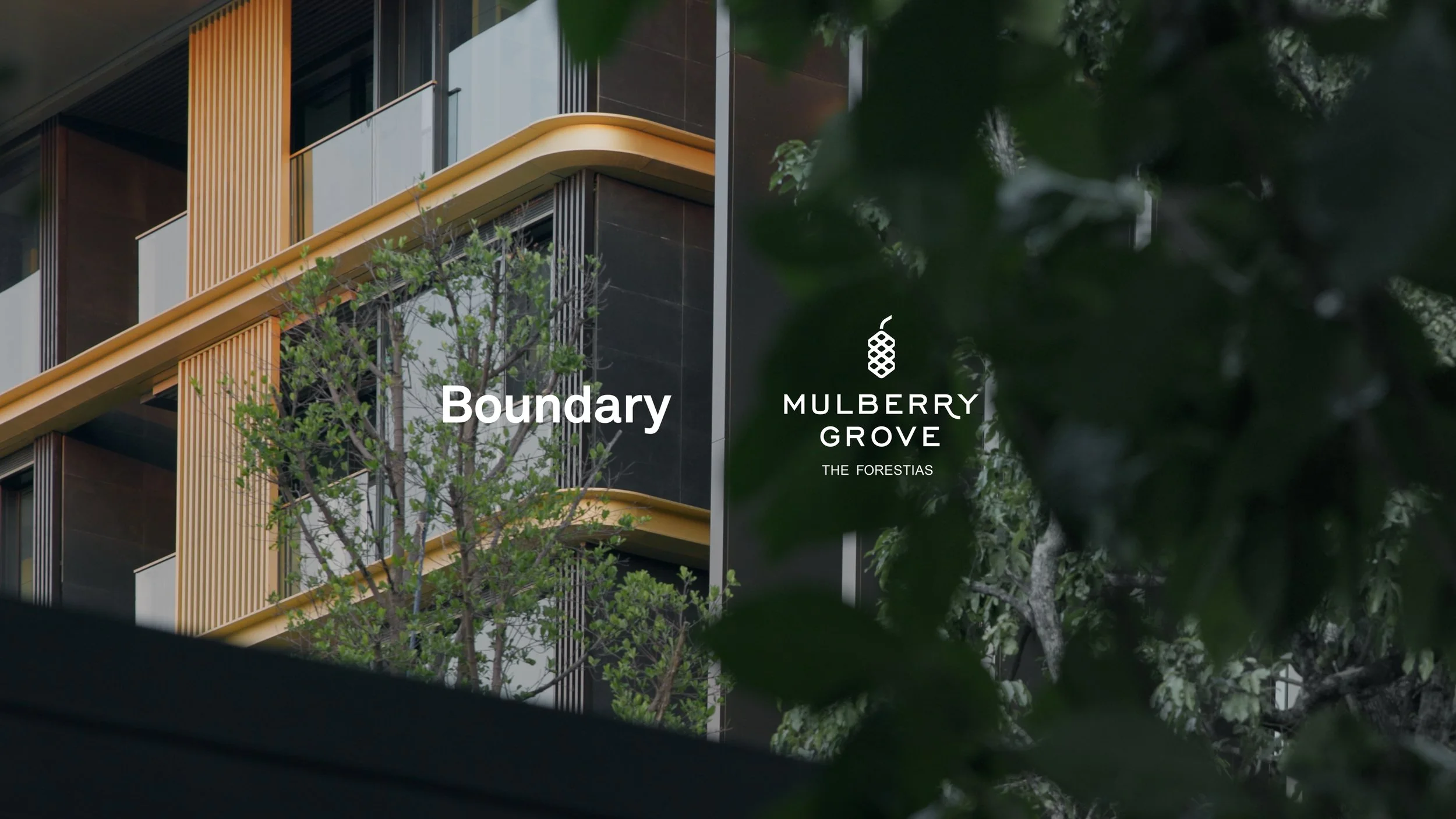 Boundary MQDC MulberryGroveTheForestias Cover01.jpg