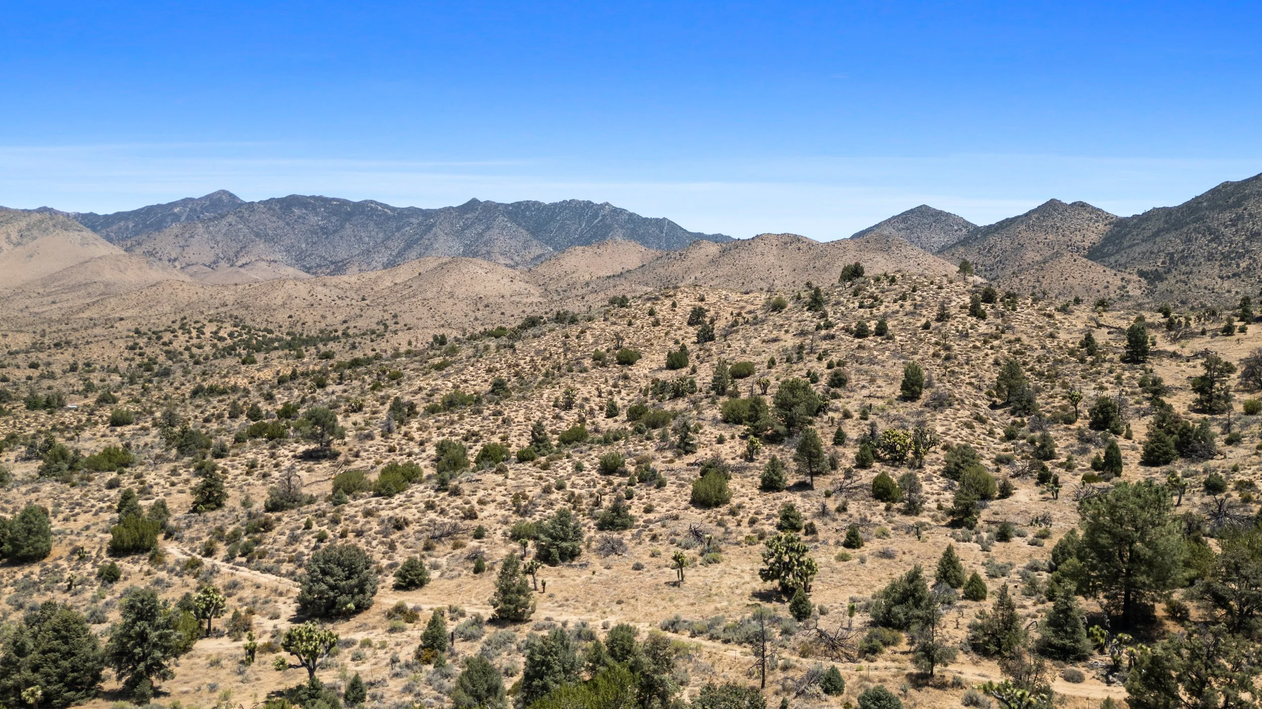 24-Illuminate Photography - APN 064-020-55 - 13.jpg