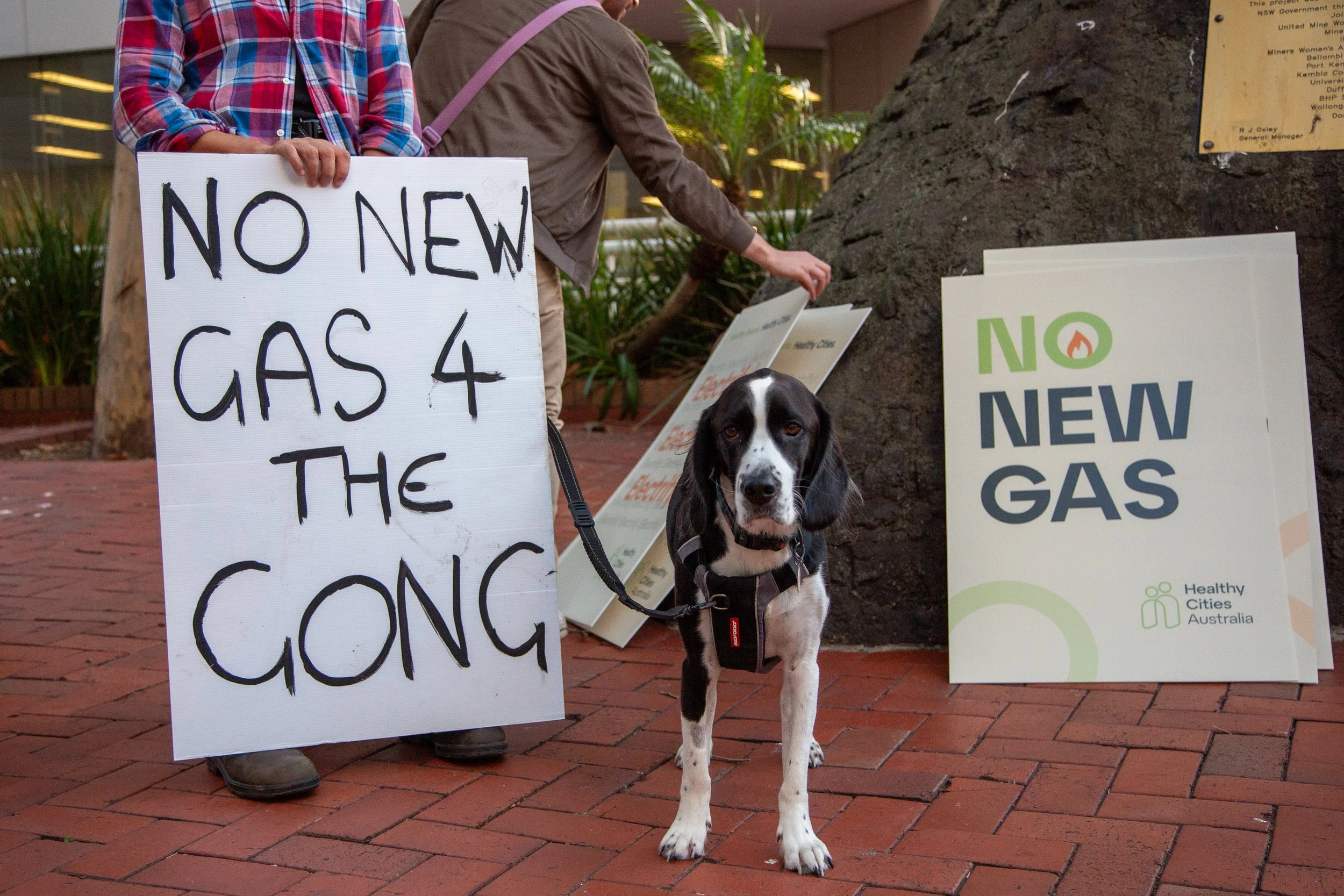 No New Gas rally-1 (1).jpg