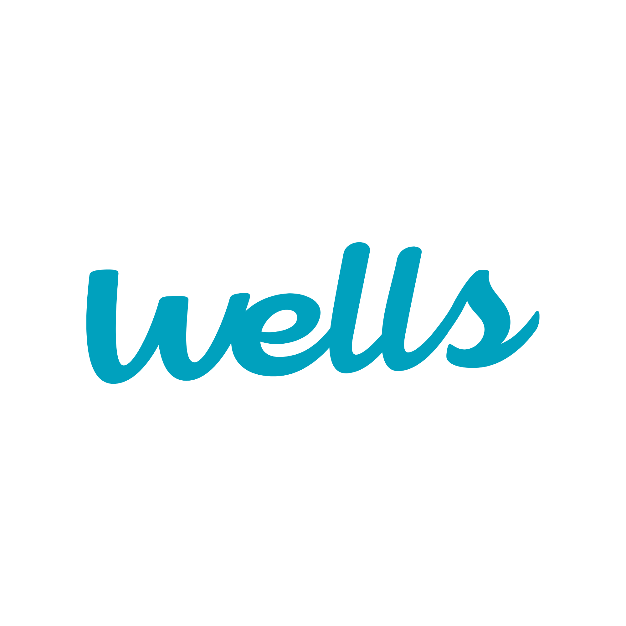 Naming Sponsor