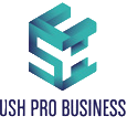 Logo for Flush Pro Business, featuring a stylized 'F' and 'E' in shades of blue.