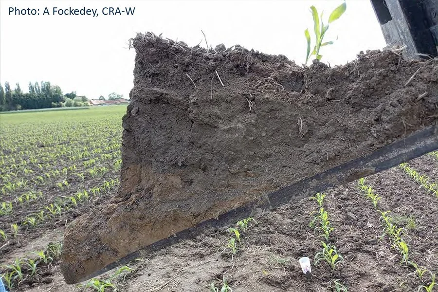 A closer look at the plough pan: what is it exactly? Is ploughing the only cause? And what about the no-tillage pan? [Practice Abstract]