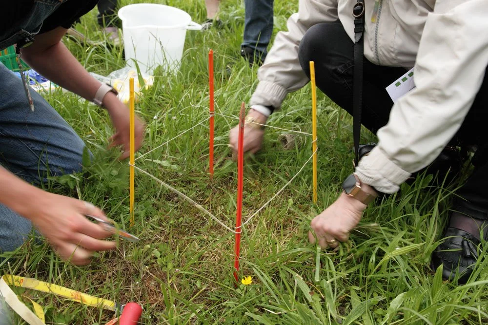 A heuristic framework to portray agroecological transition initiatives in reflexive arrangements, illustrated with a conservation agriculture network in Denmark [Scientific Paper]