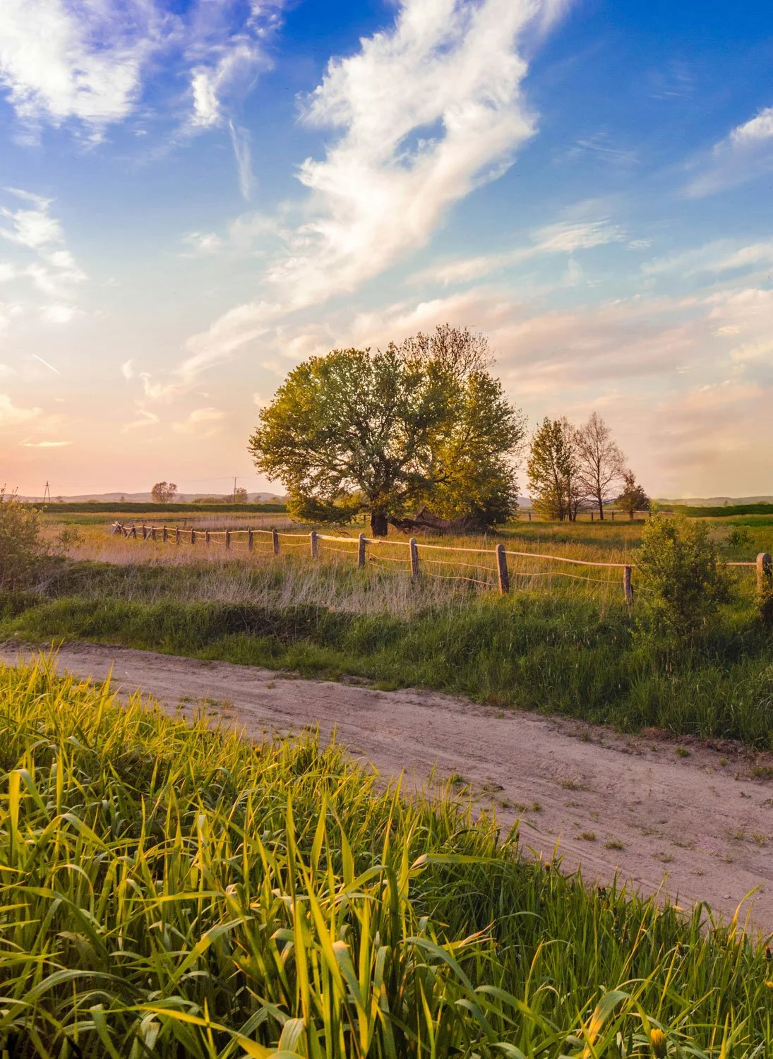 Agroecological interventions increase biodiversity and the potential for climate change mitigation in Europe [Scientific Paper]