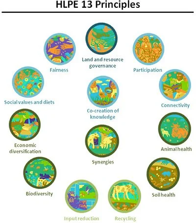 resource 1-2-defining agroecology-hlpe 13 principles.jpg