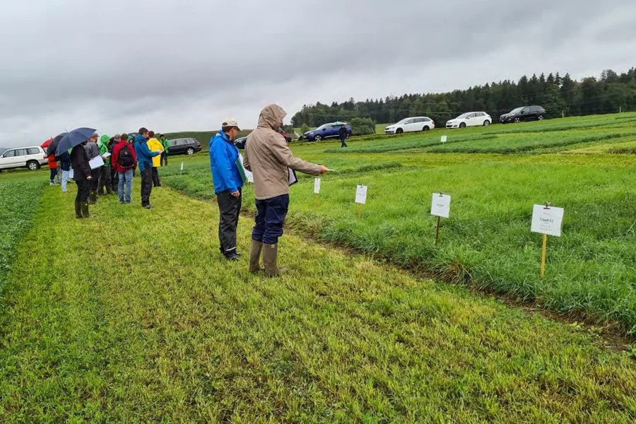 Designing multi-species grassland mixtures to reduce fertiliser use and boost forage yield, resilience, and ecosystem services through strategic species selection [Practice Abstract]