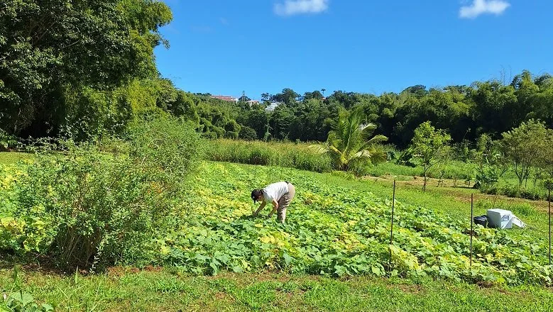 Makibio, a project embedded within a new respectful, participatory and transparent social contract between researchers and farmers [Practice Abstract]