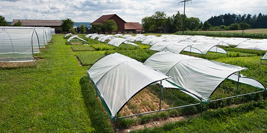 Plant diversity can mitigate adverse drought impacts on grasslands [Report, Scientific Paper]