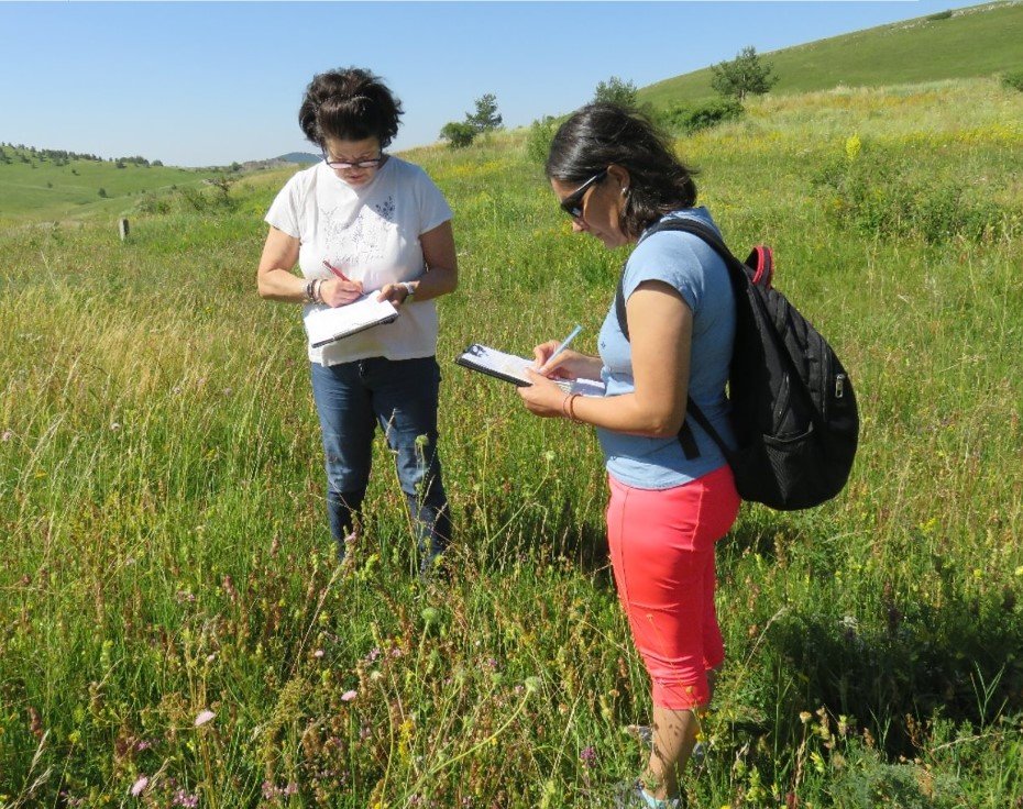 Selecting and testing the plant indicator species for developing result based agri-environmental payment schemes for high nature value grasslands in Bulgaria [Practice Abstract]