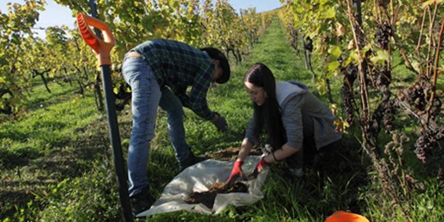 Driving agroecological change through transdisciplinary research [Webinar Recording]