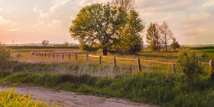 The effects of agroecology on biodiversity and climate change mitigation [Webinar Recording]