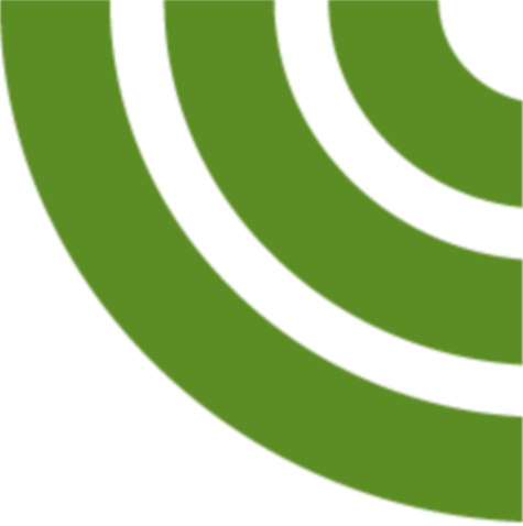 Close-up of a green and black spiral pattern.