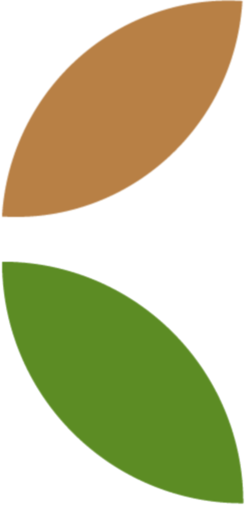 Two stylized leaves, one brown and one green, arranged vertically.