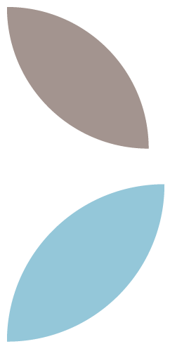 Three stylized leaves, one gray and two light blue, on a white background.