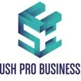 Push Pro Business logo with stylized teal and blue 3D letters