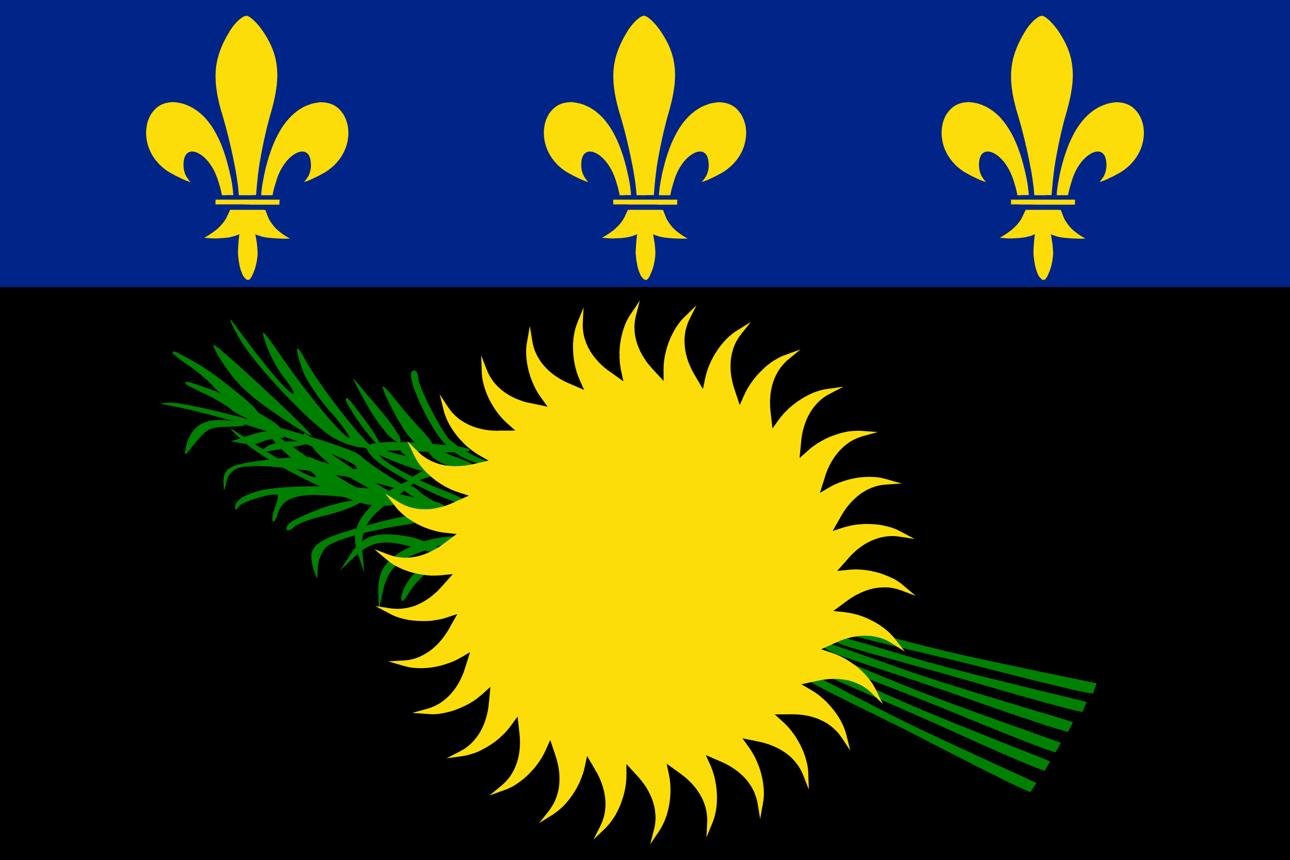 A flag with a blue upper half featuring three golden fleur-de-lis symbols, and a black lower half with a large yellow sun with jagged rays and green palm branches.
