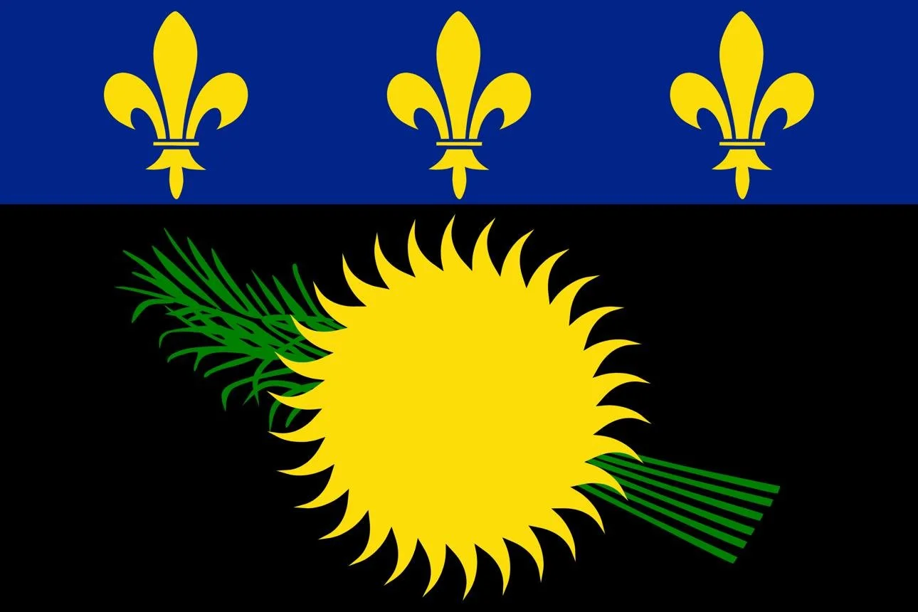 Flag with a blue top stripe featuring three yellow fleur-de-lis, a black bottom stripe, a large yellow sun with rays in the center, and a green sprig of fern.