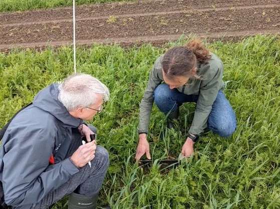 Two women inspect plants in a garden or farm, crouching among green grass and plants, with a row of tilled soil in the background.